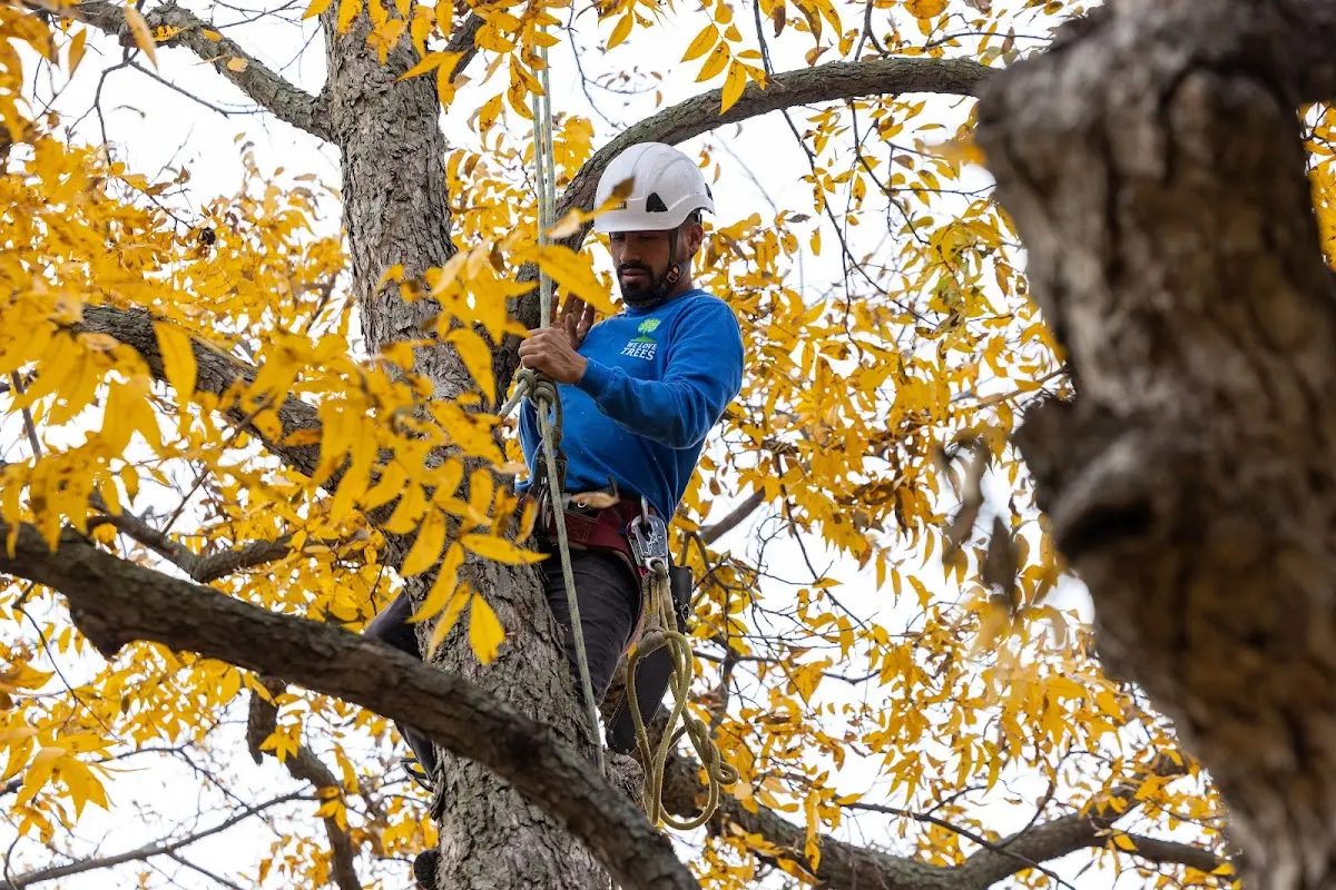 Skilled Storm Damage Cleanup crew working in Dunlo
